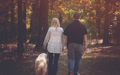 image for October 7-13th is Walk Your Dog Week!